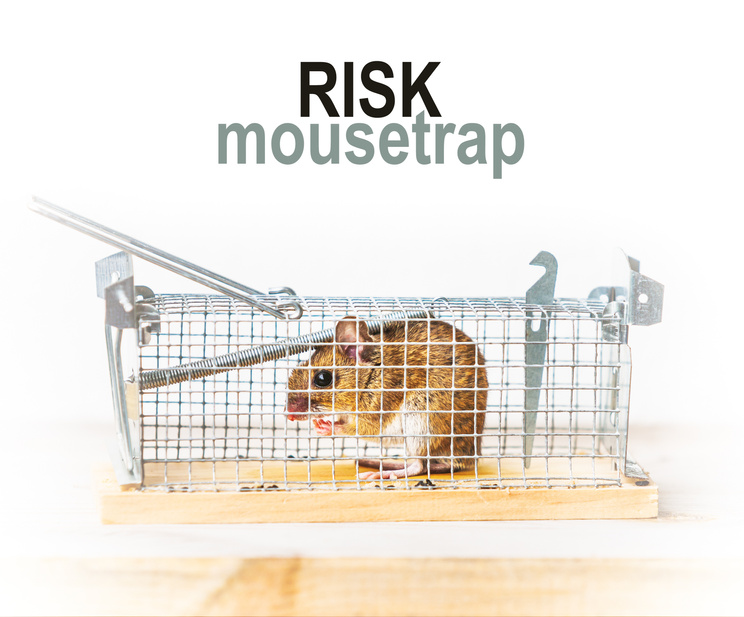 Mouse trap